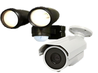 �h�ƃJ����